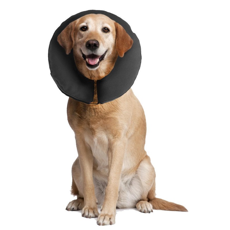 ZenPet Zen Collar For Dogs Large