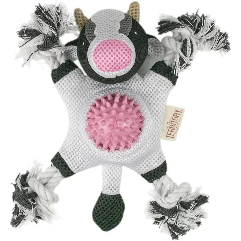 Territory 2 in 1 No Stuffing Removable Fetch Ball Tug Dog Toy Fox