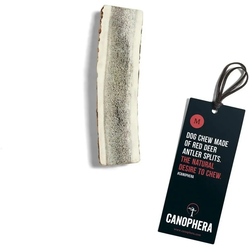 Canophera Split Red Deer Antler for Dogs Small