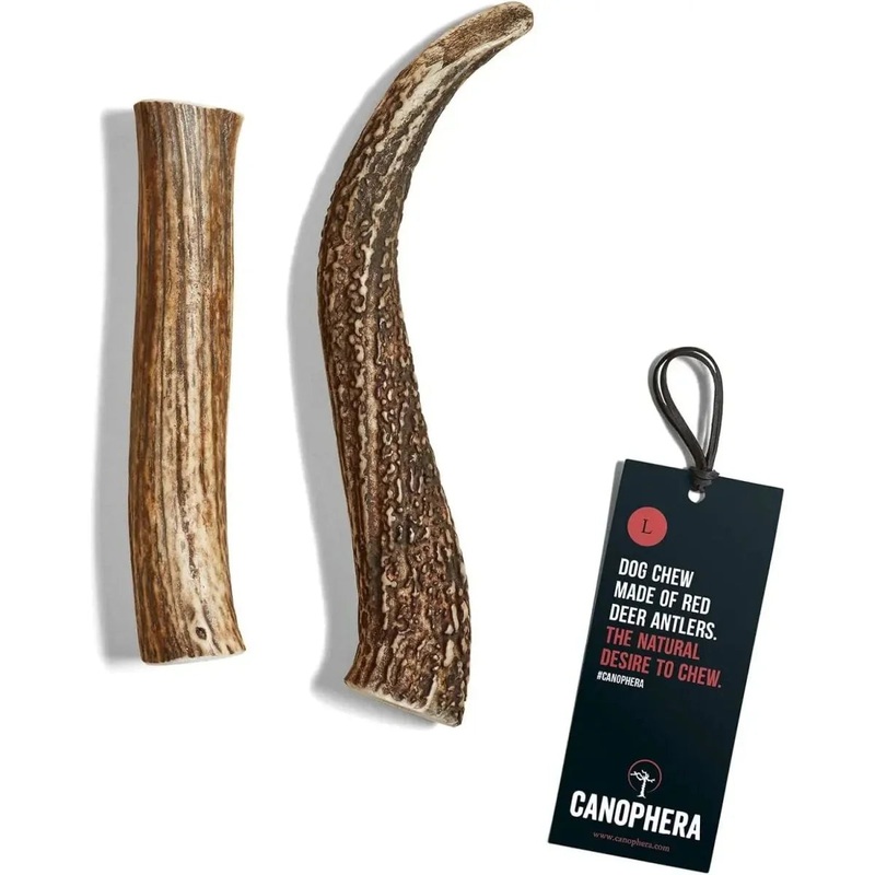 Canophera Whole Red Deer Antler Dog Chew XSmall