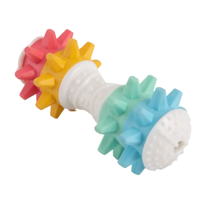 SnugArooz Shake It Off Nylon Noisy Bone Dog Toy