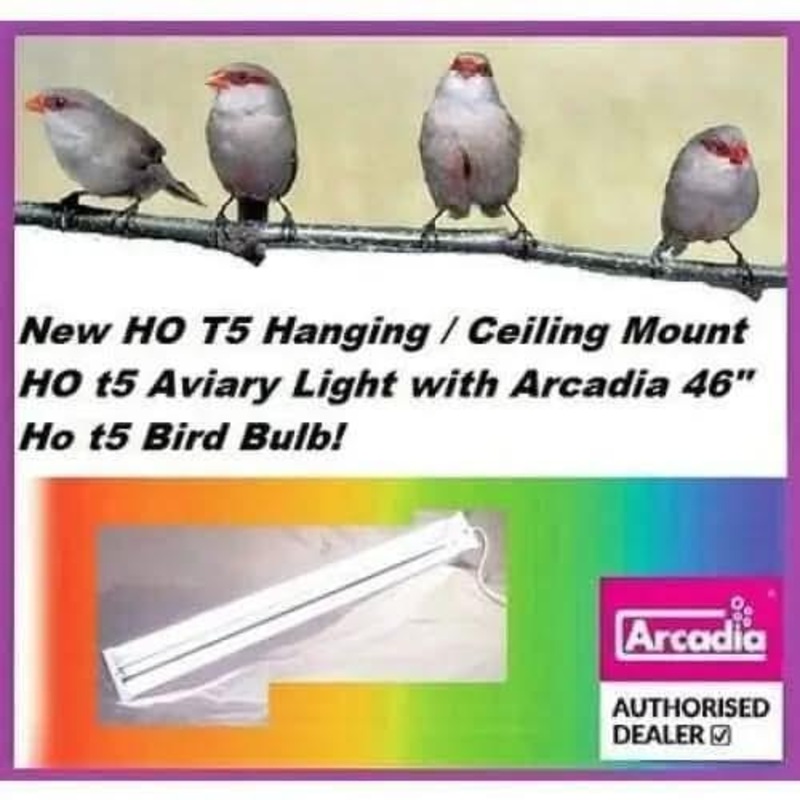 46″ T5 HO Fixture HO with NEW HO t5 Arcadia Bird bulb INCLUDED