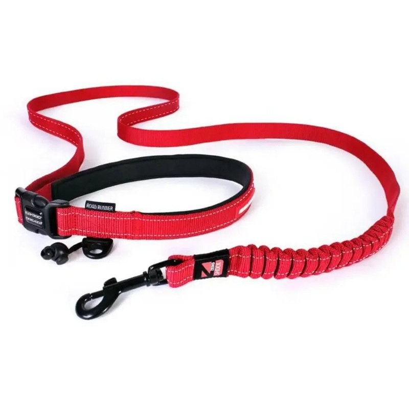EZY Dog – Road Runner Leash Blue