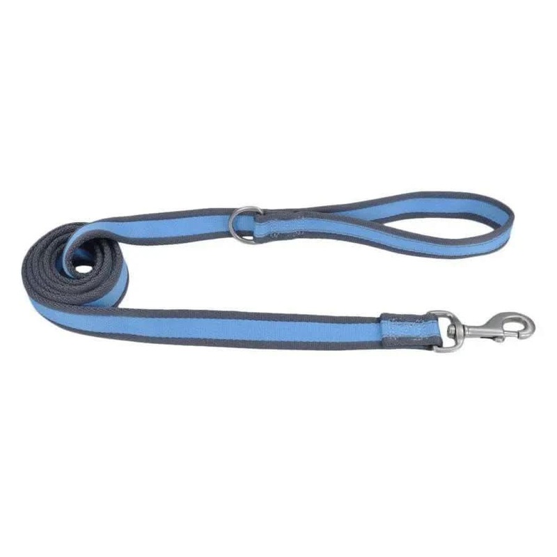 Coastal Pro Reflective Dog Leash 3/4 In X 6 Feet Fuscia/Teal