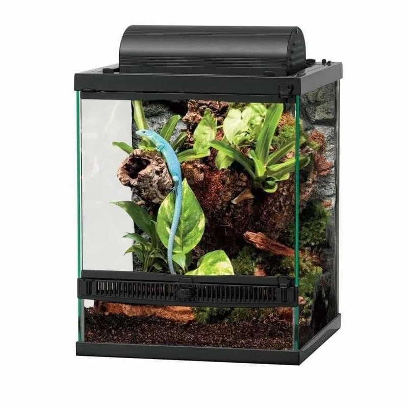 Zilla Front Opening Amphibian and Reptile Terrariums 12 X 12 X 15 In