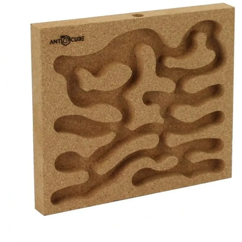 ANTCUBE  Cork nest 2020  standing