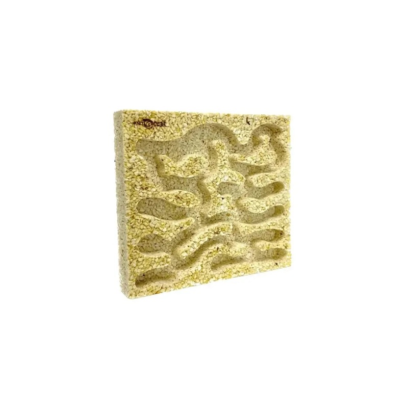 ANTCUBE – Popcorn Nest 20×20 – L
