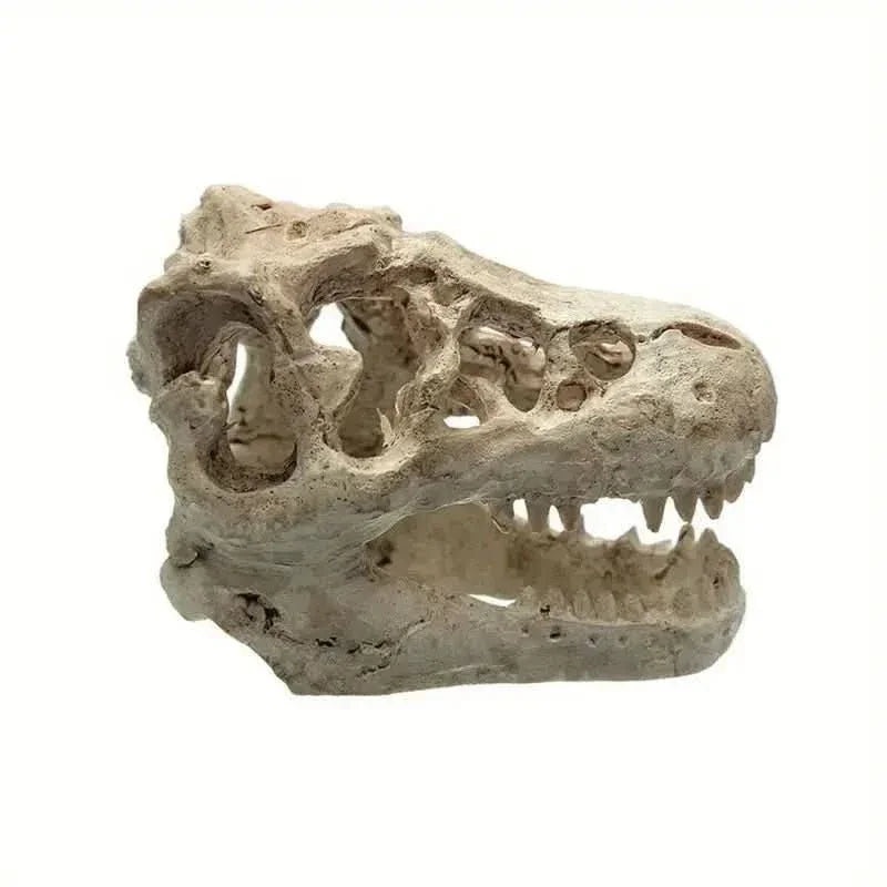 Talis-us Crocodile Skull Resin Ant Farm Decor
