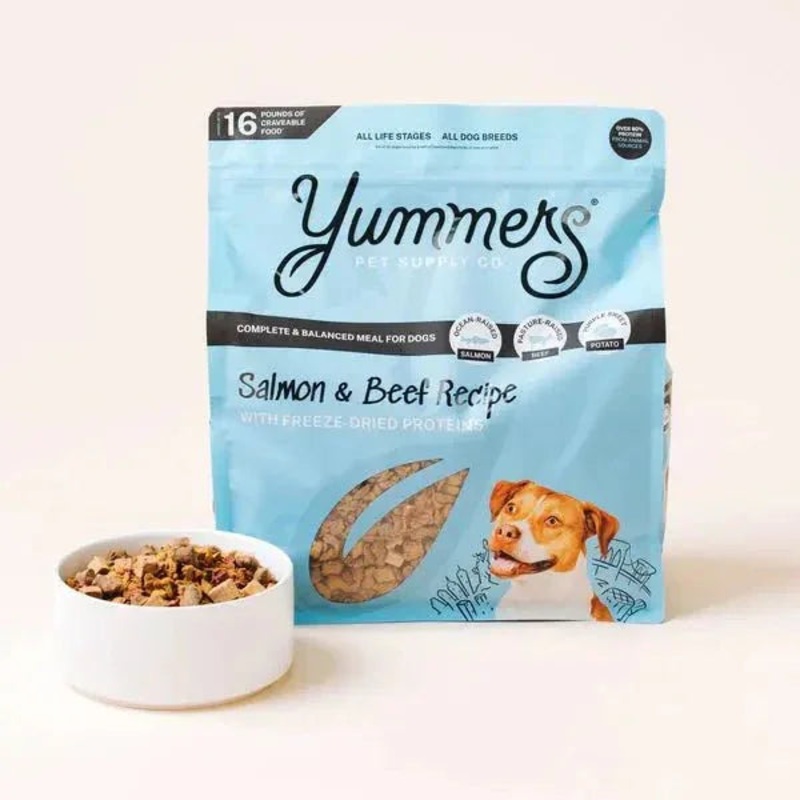 Yummers Salmon & Beef Recipe with Freeze Dried Proteins Dog Food 3 oz