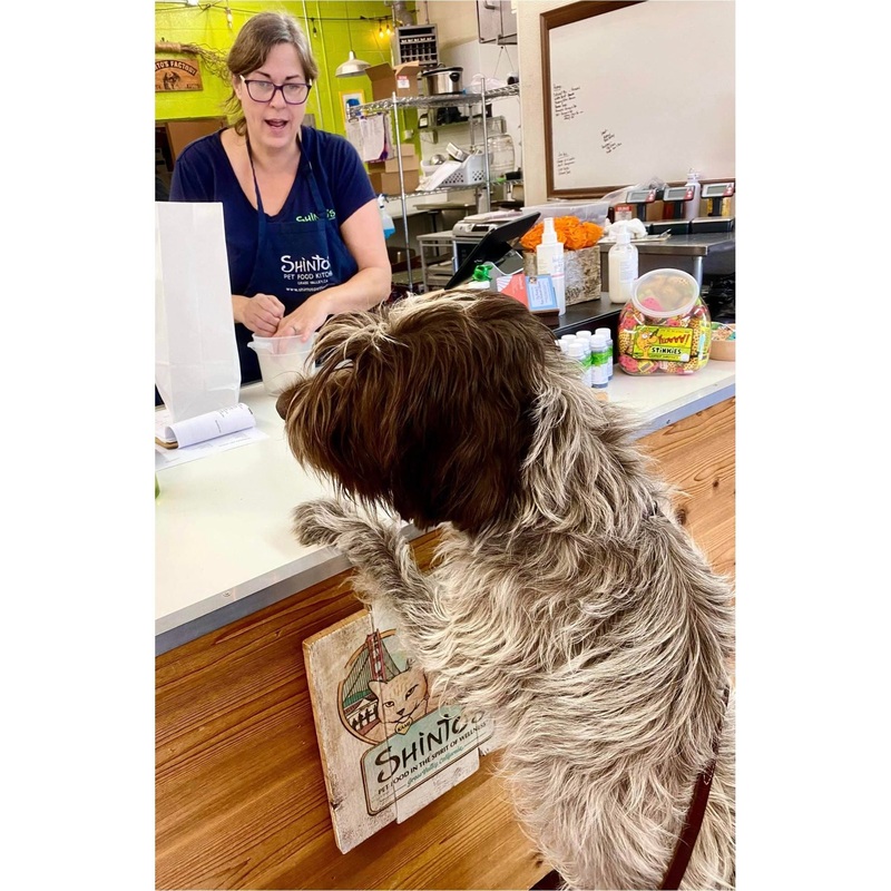 Shinto’s Wellness Consultation  Pet Nutrition & Care