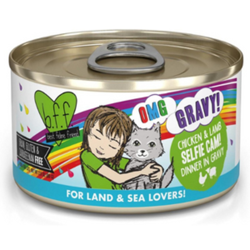 Weruva BFF OMG Chicken & Lamb Selfie Cam Dinner in Gravy Wet Canned Cat Food 2.8 oz