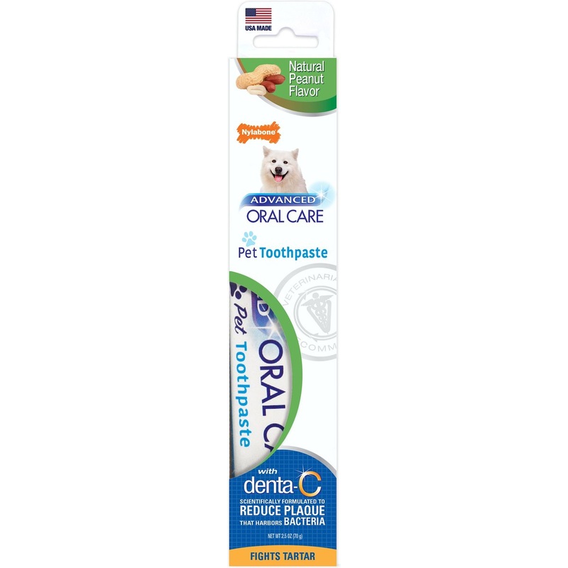 Nylabone Advanced Oral Care Natural Peanut Flavor Dog Toothpaste 2.5 oz