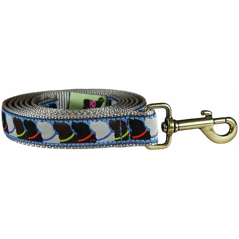 1.25 x 6ft Ribbon Dog Leash  Who Wants Treats?, Blue