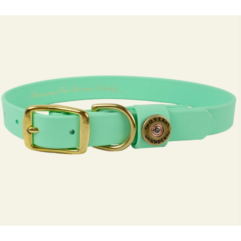 1″ Mudproof Dog Collar – Mint Green X-Small