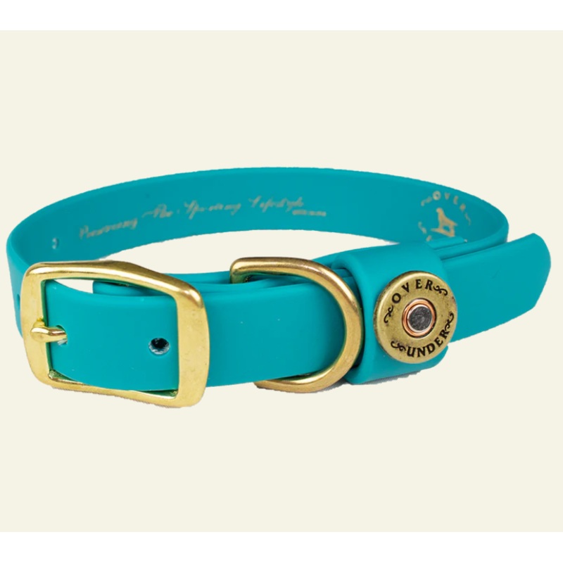 1″ Mudproof Dog Collar – Teal X-Small