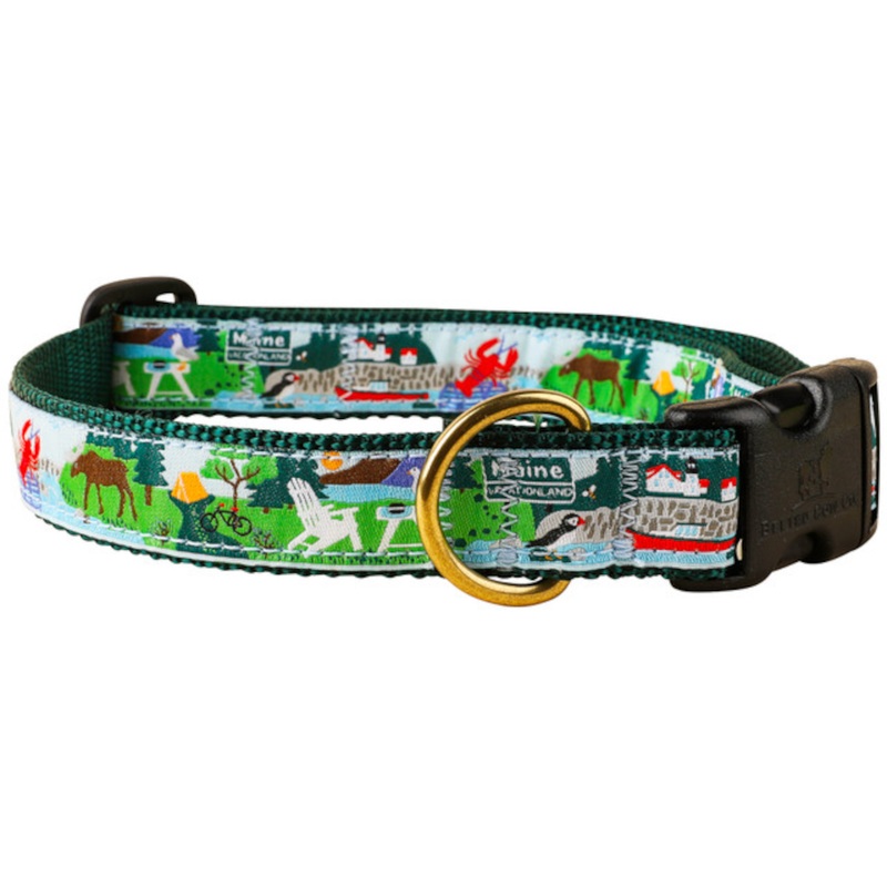 1 Ribbon Dog Collar  Vacationland Small