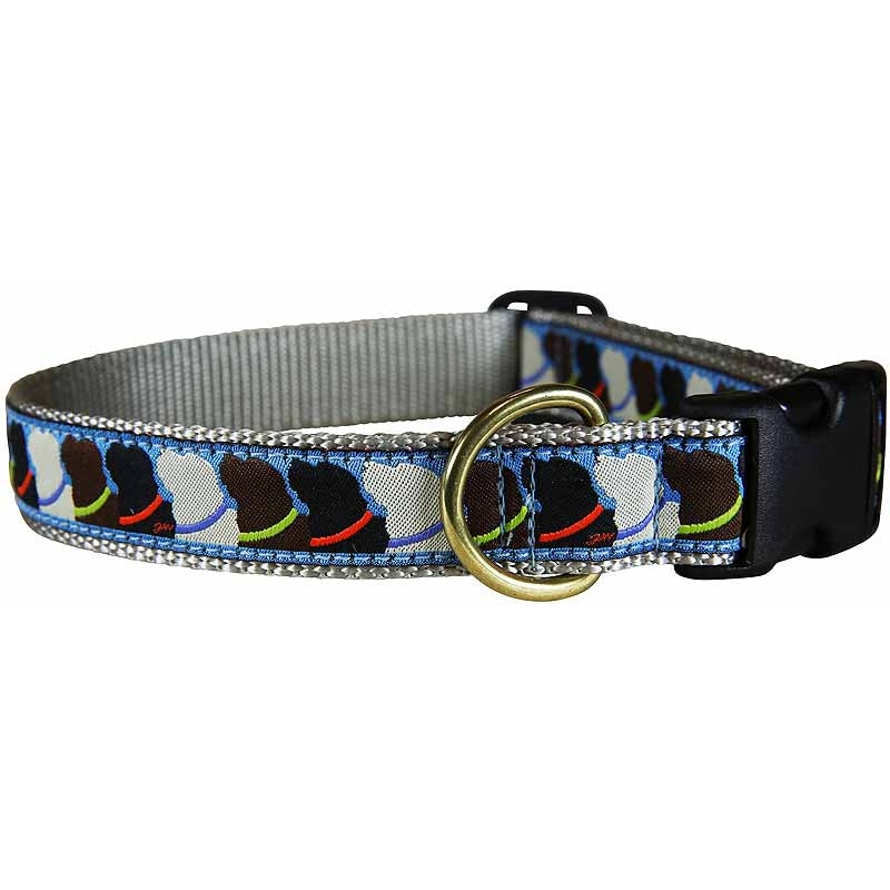 1 Ribbon Dog Collar  Who Wants Treats? Small