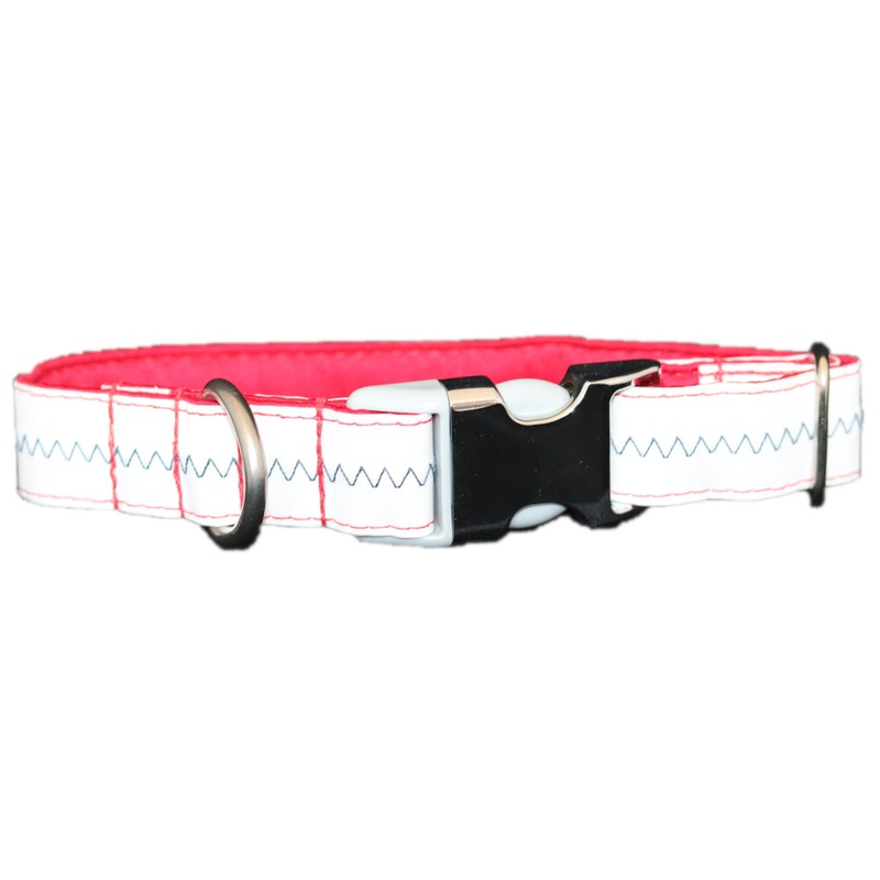 1 Sailcloth Dog Collar – White w/ Blue Stitching Large