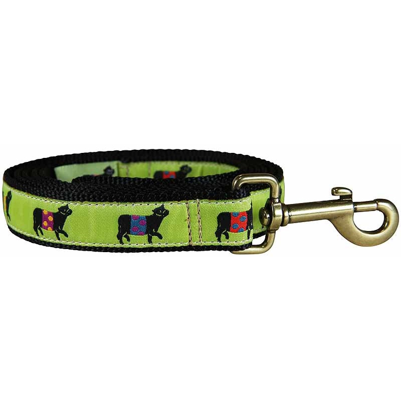 1 x 6ft Ribbon Dog Leash  Beltie, Lime
