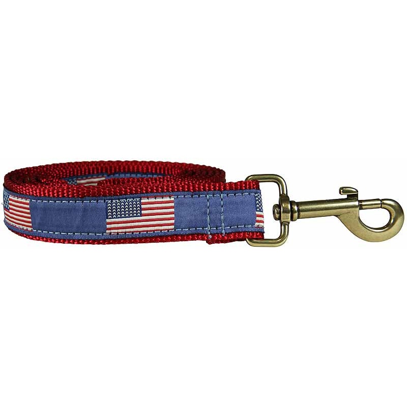 1 x 6ft Ribbon Dog Leash  Historic American Flags
