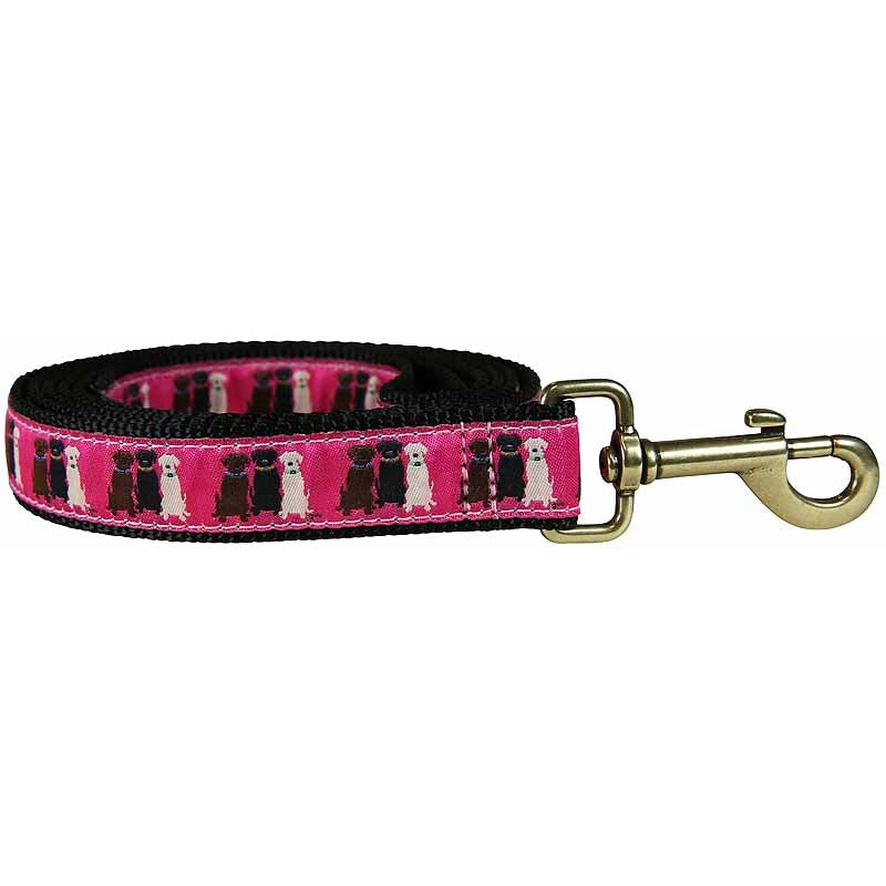 1 x 6ft Ribbon Dog Leash  Three Labs, Pink