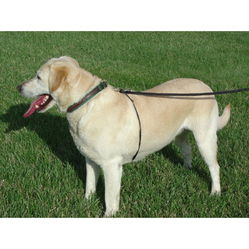 Anti-Pull Dog Training Leash Small (0-25lb) Black