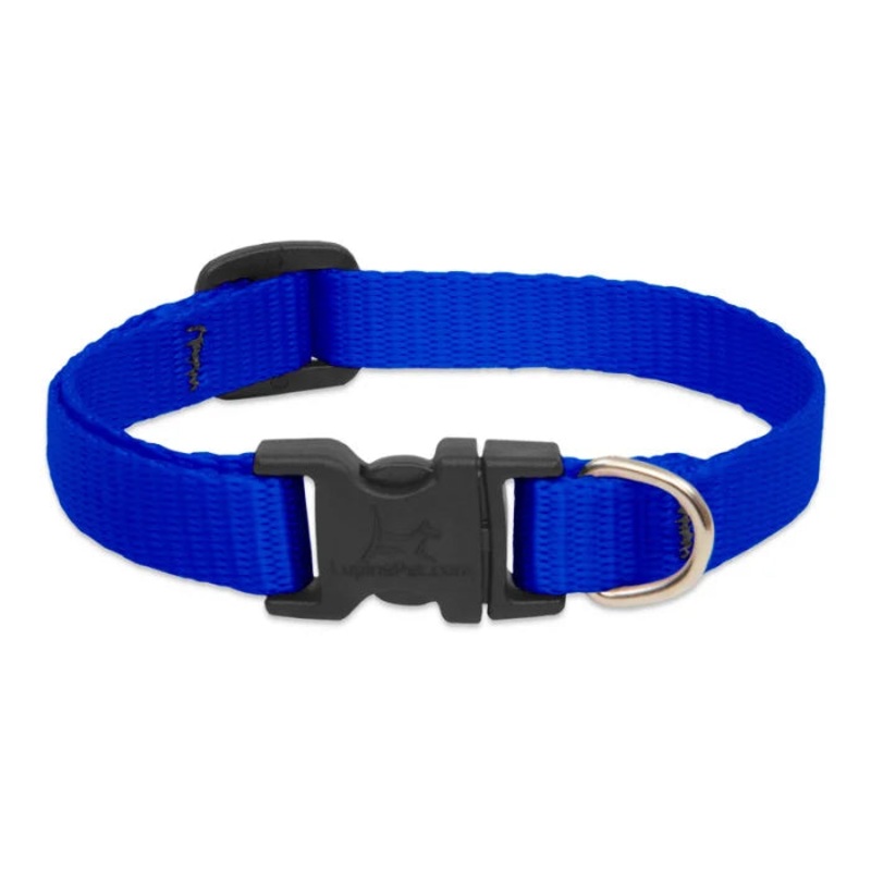 1/2 Nylon Dog Collar – 8″-12″ Black