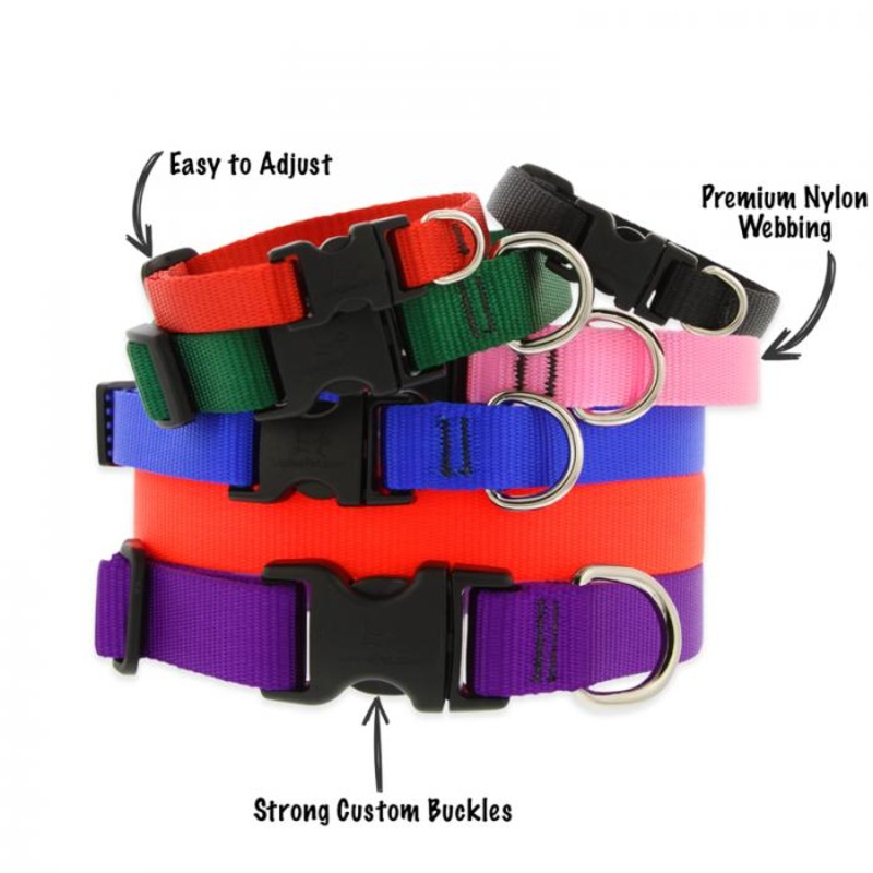 1 Nylon Dog Collar – 12″-20″ Black