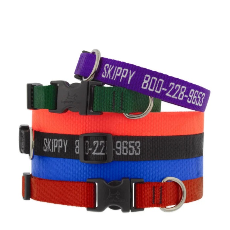1 Nylon Dog Collar – 16″-28″ Black