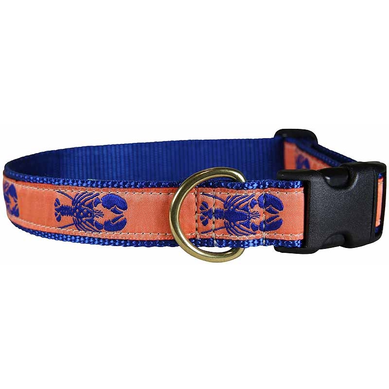 1 Ribbon Dog Collar  Lobster,  Blue on Mango Small