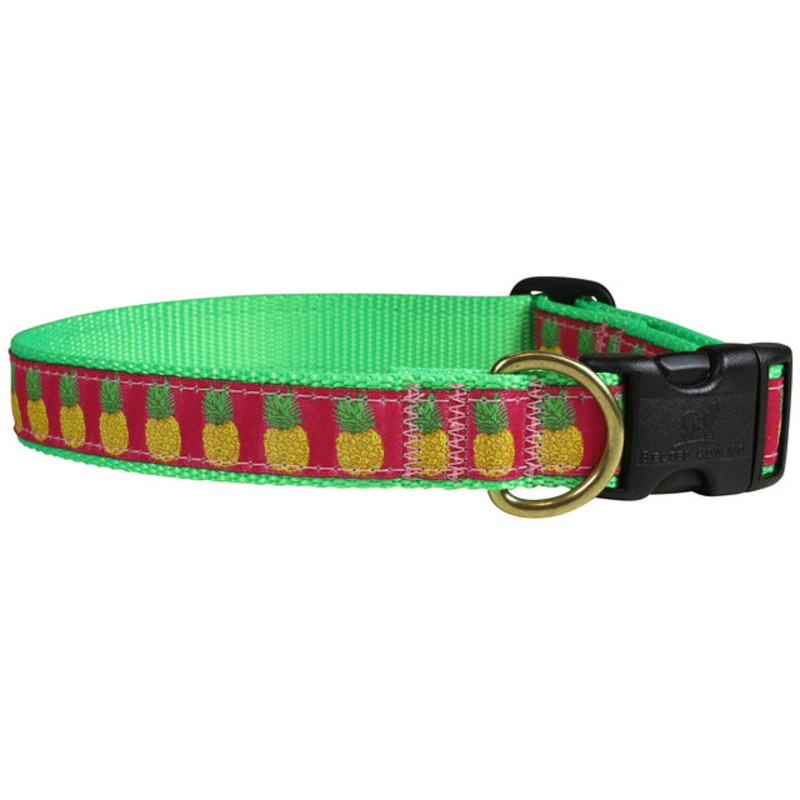 1 Ribbon Dog Collar  Pineapples Large