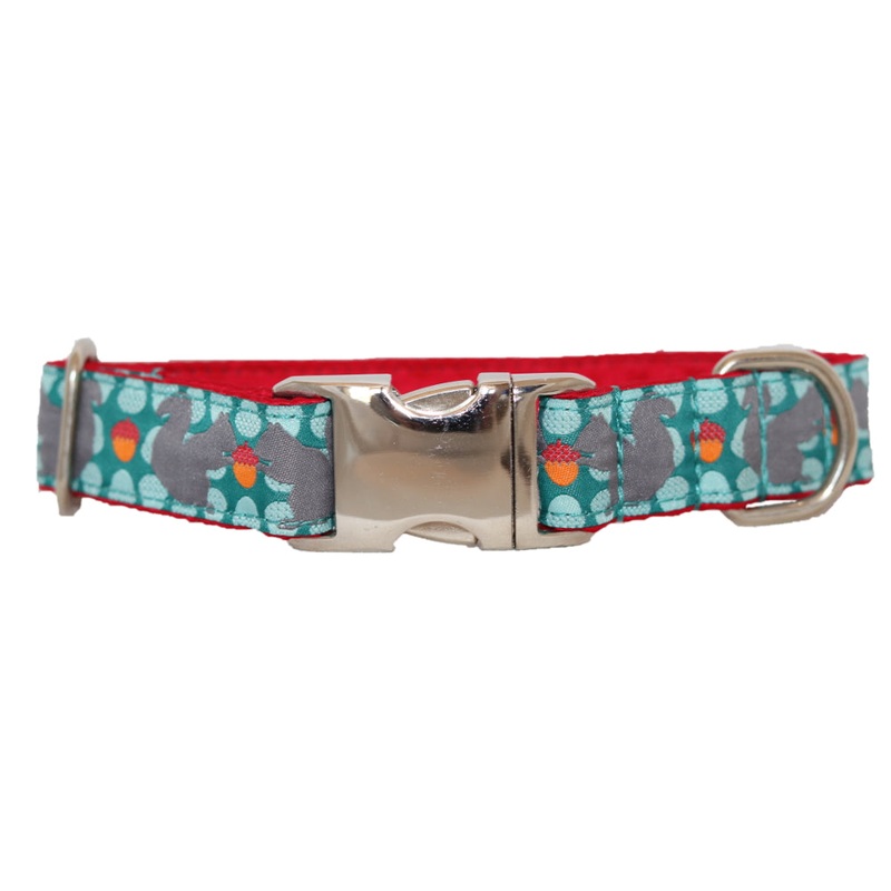 1 Ribbon Dog Collar  Squirrely Large