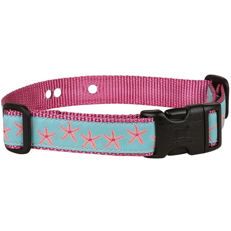 1 Underground Fence Dog Collar – Pink Starfish on Aqua Large