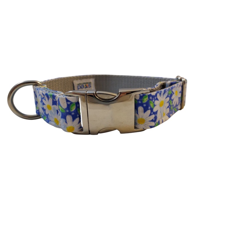 3/4 Ribbon Dog Collar  Daisy, Blue Medium