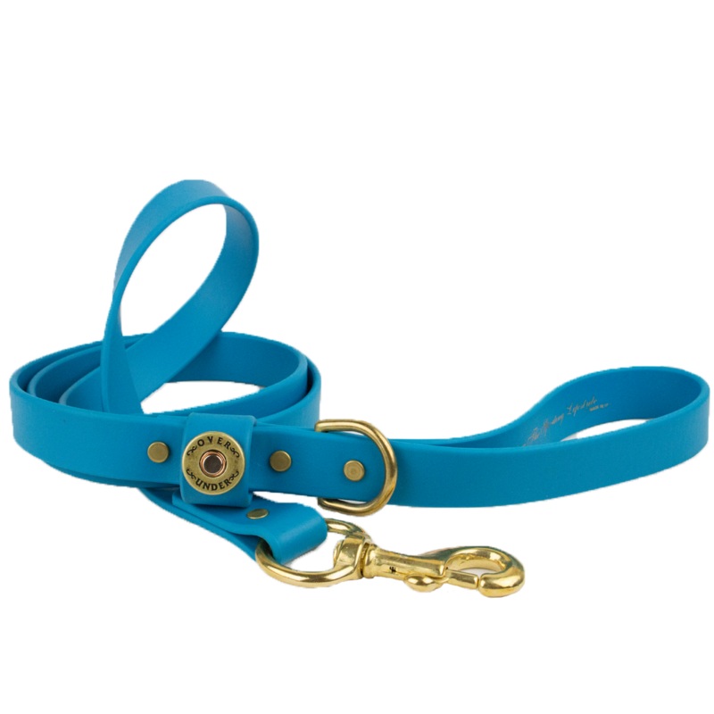 1″ x 5ft Mudproof Dog Leash – Aqua