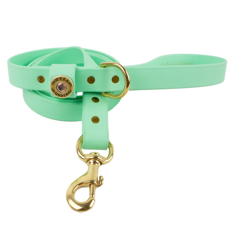 1″ x 5ft Mudproof Dog Leash – Mint Green