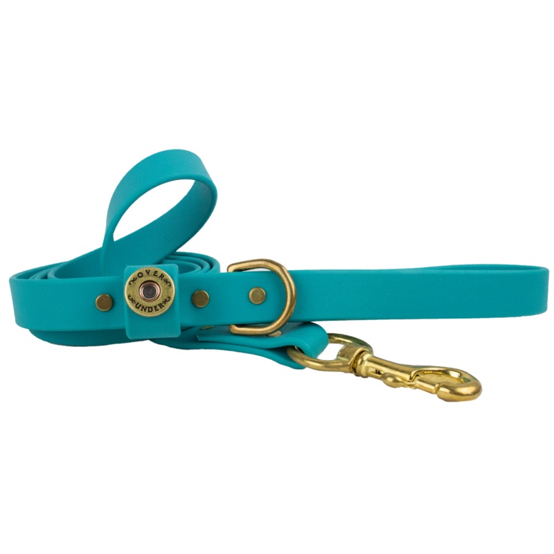 1″ x 5ft Mudproof Dog Leash – Teal