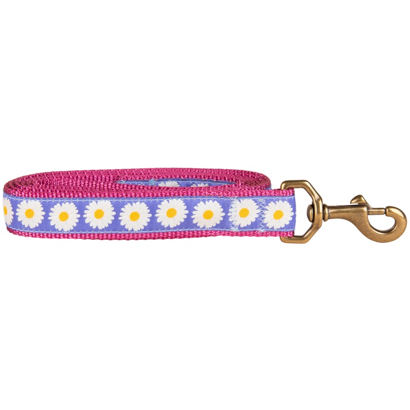 1 x 6ft Ribbon Dog Leash  Daisy