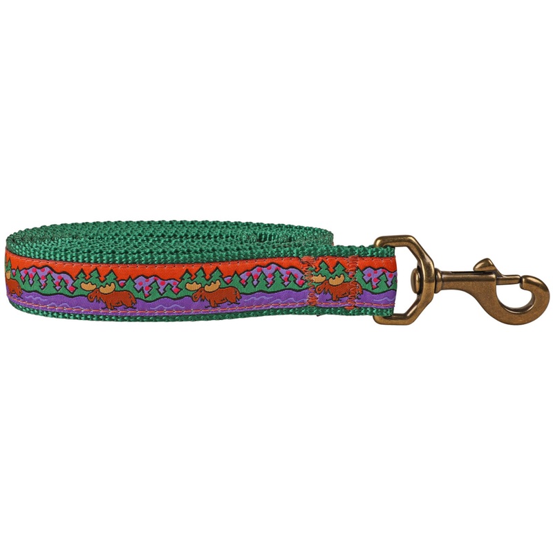 1 x 6ft Ribbon Dog Leash  Moose on Green