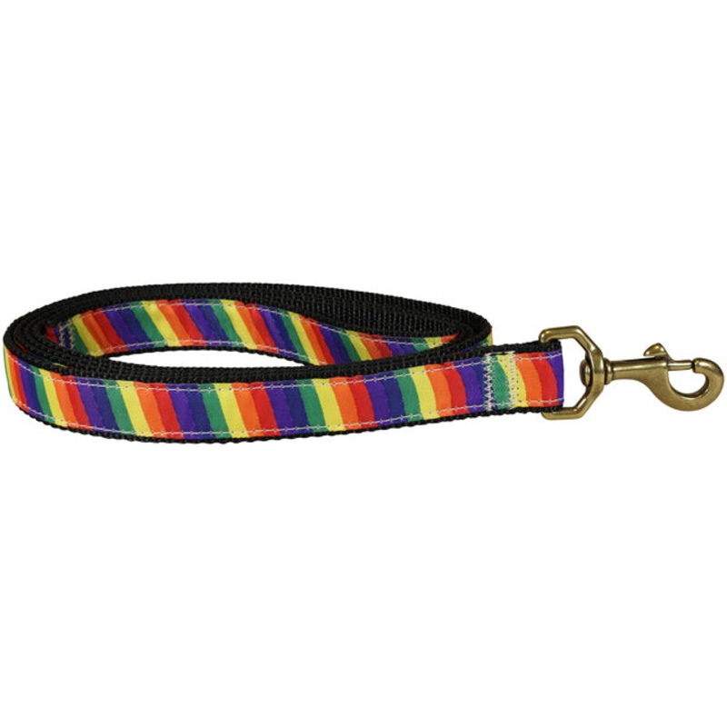 1 x 6ft Ribbon Dog Leash  Rainbow