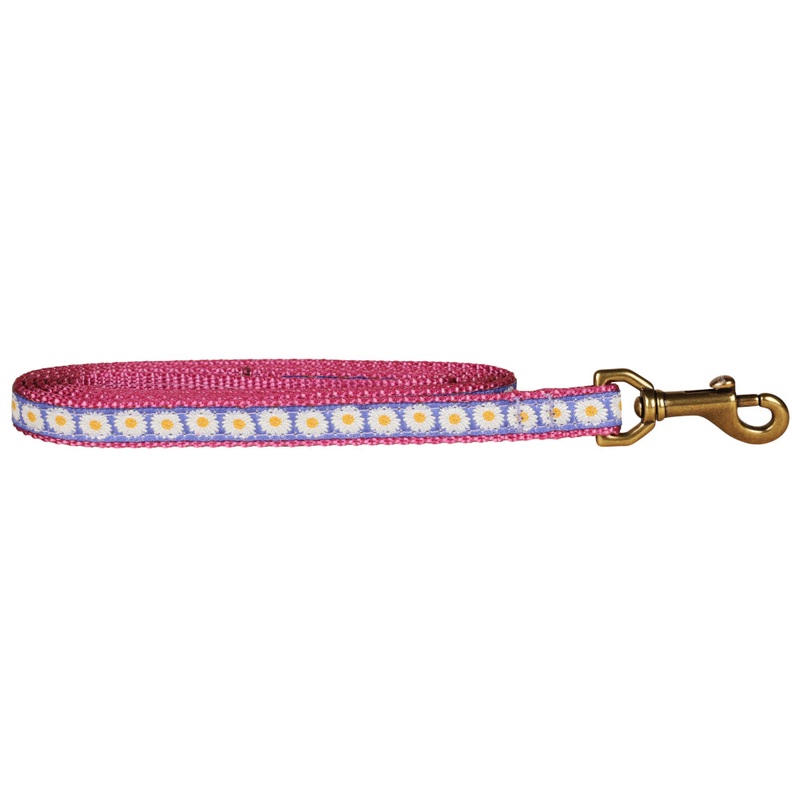 5/8 x 6ft Ribbon Dog Leash  Daisy