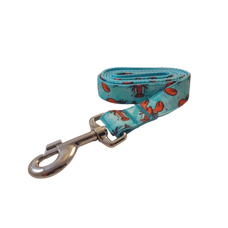 1 x 52″ Ribbon Dog Leash  Aqua Lobster