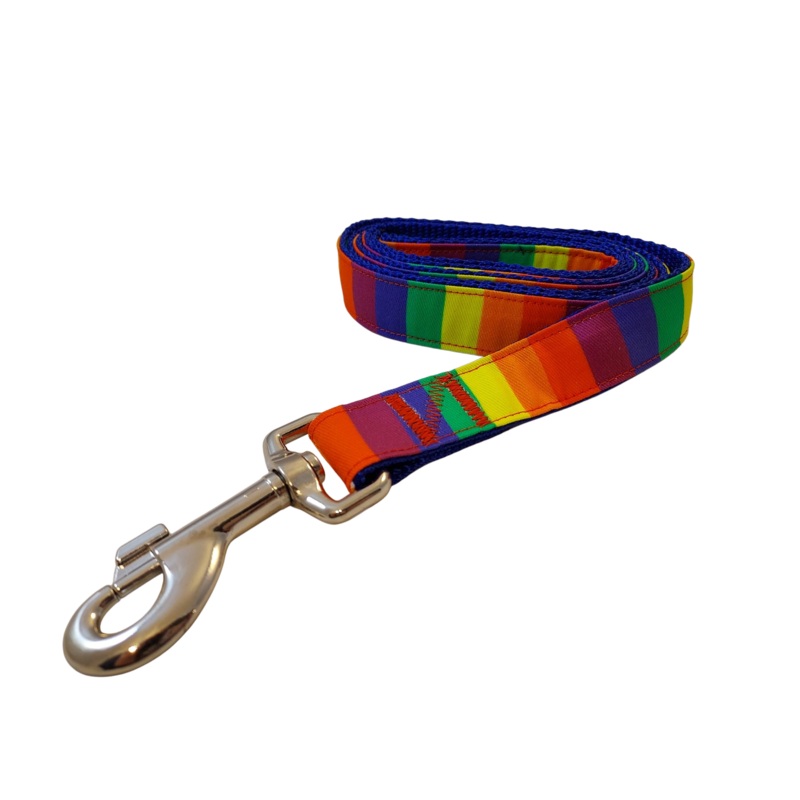 1 x 5ft  Ribbon Dog Leash  The Pride