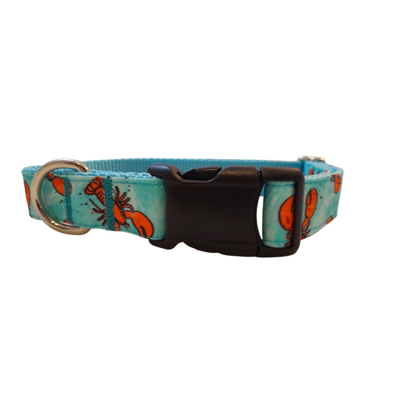 Ribbon Dog Collar  Aqua Lobster Small 3/4″