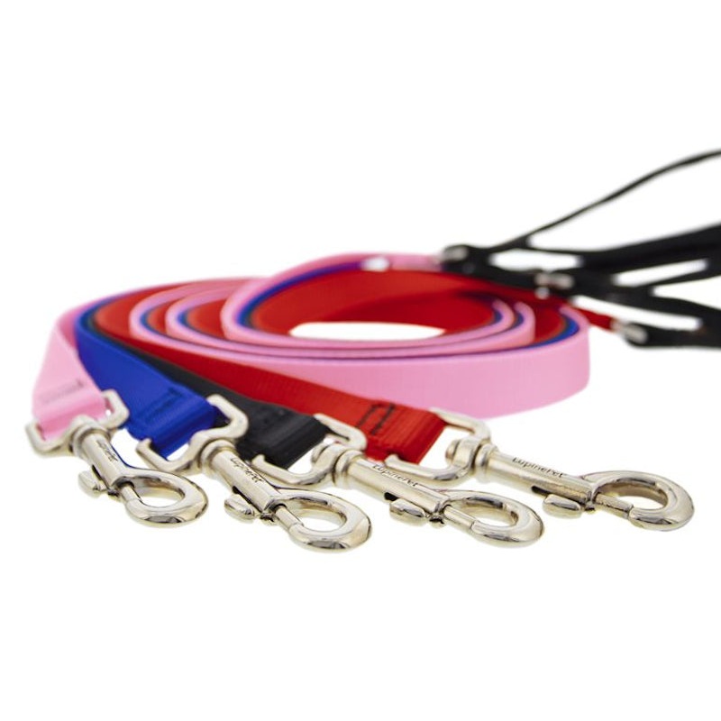 1 Nylon Dog Leash x 4ft Black