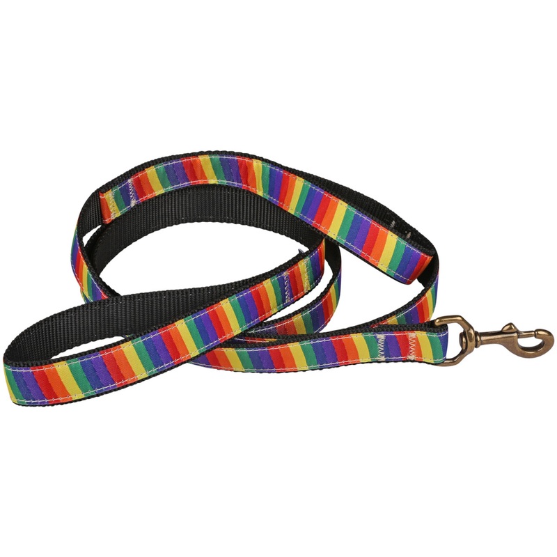 1 x 6ft Traffic Dog Leash  Rainbow