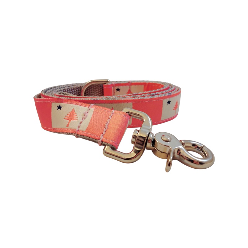 1 x 5ft  Ribbon Dog Leash  1820/1901 Maine Flag, Pink