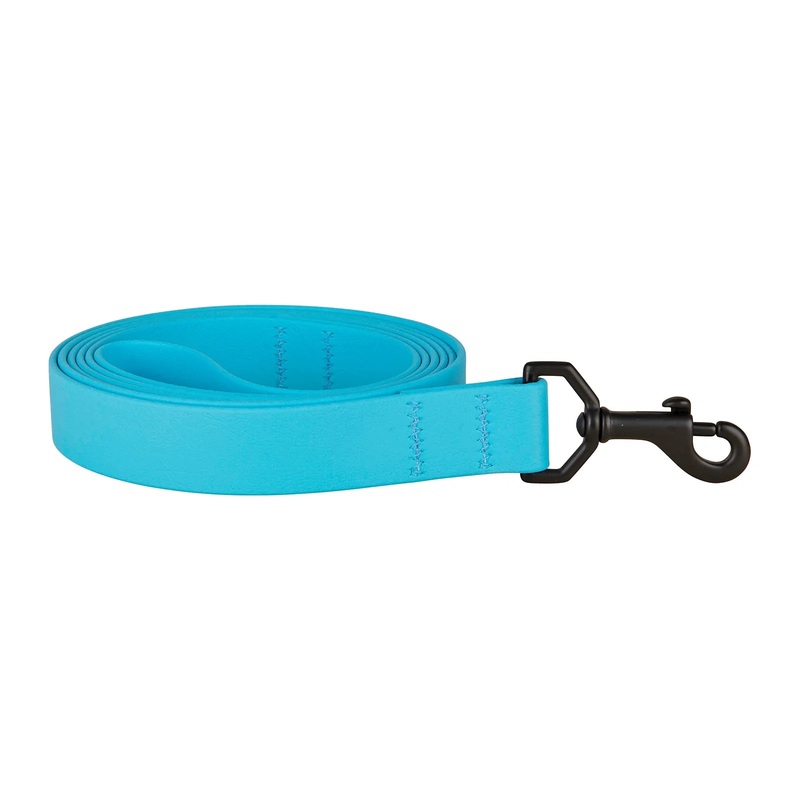 1″ x 6ft Mudproof Biothane Dog Leashes Blue