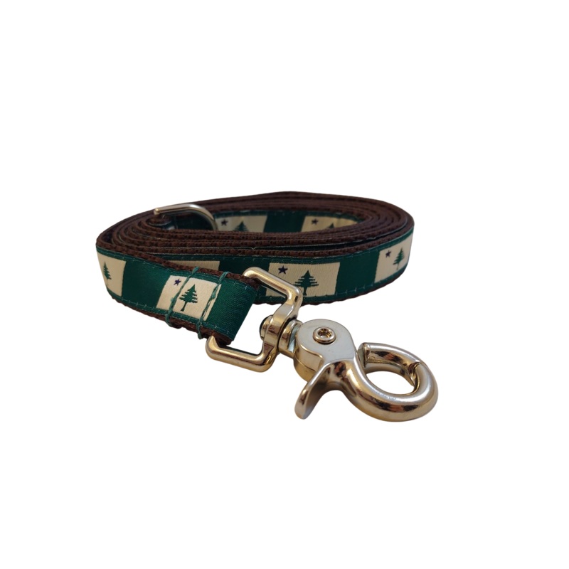 3/4 x 5ft Ribbon Dog Leash  1820/1901 Maine Flag, Green