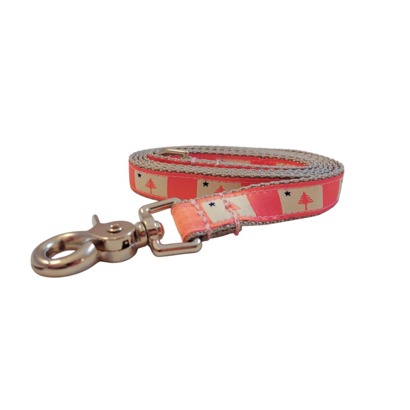 3/4 x 5ft Ribbon Dog Leash  1820/1901 Maine Flag, Pink